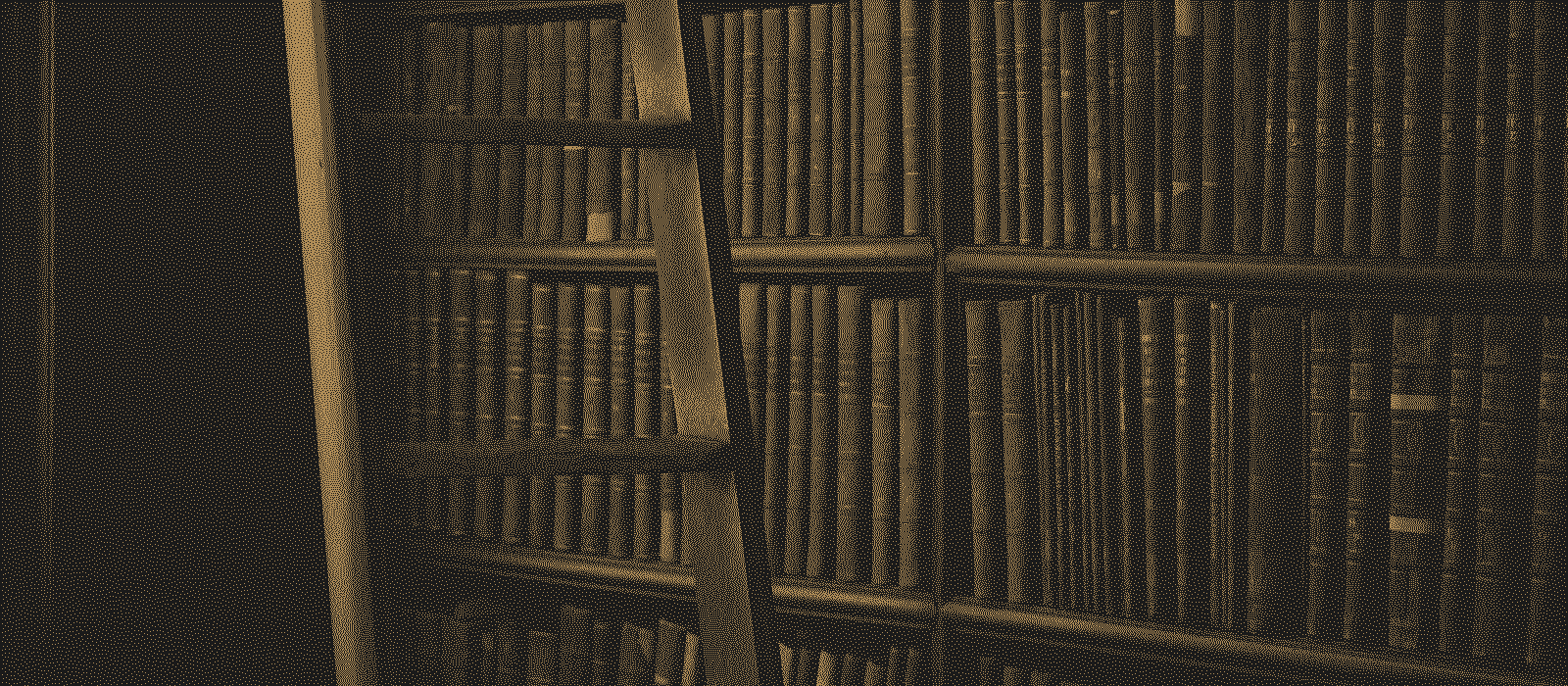 A library ladder against tall bookshelves, printed in gold dots on black