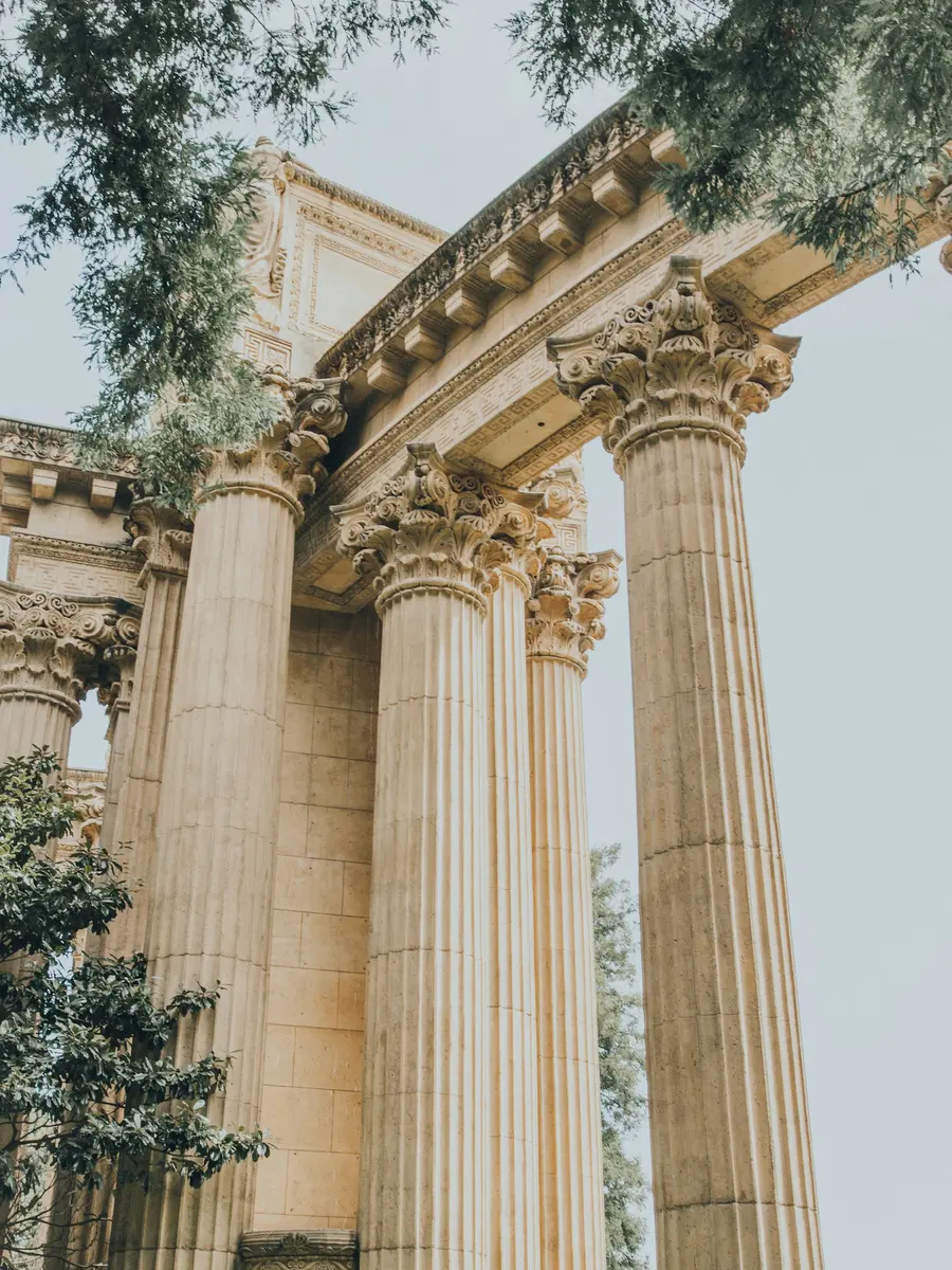 Classical columns among trees, seen from below